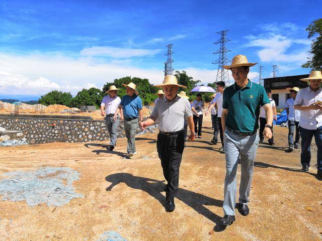 省水利灌区管理局党委书记陈宇清带队督导防洪专线项目