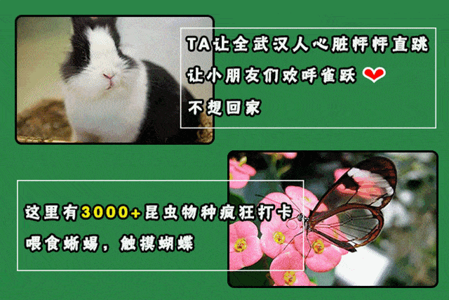 优惠价61元(提前1天购买) 2馆2大1小家庭票:原价545元,优惠价399元