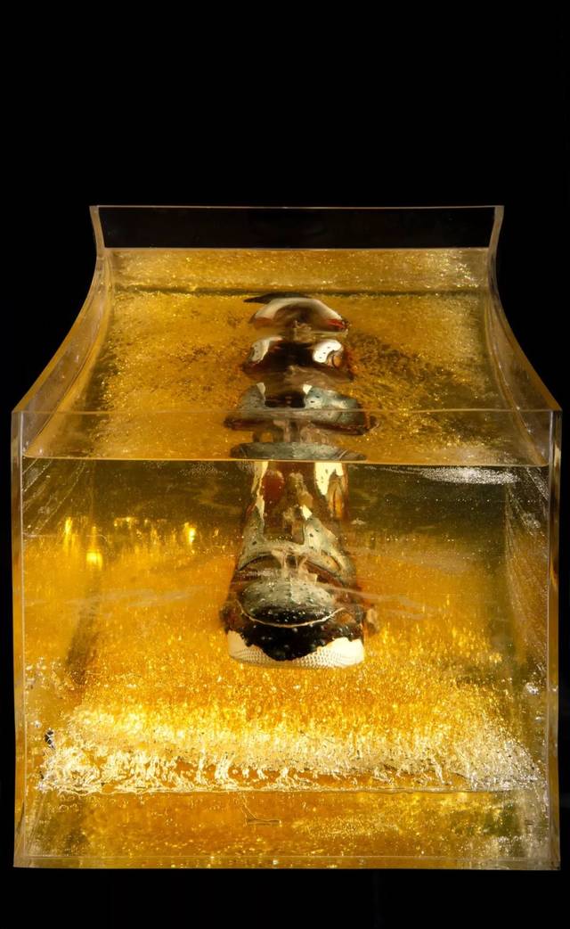 「爱护动物,保护环境」 · MR.WHITE 用球鞋来