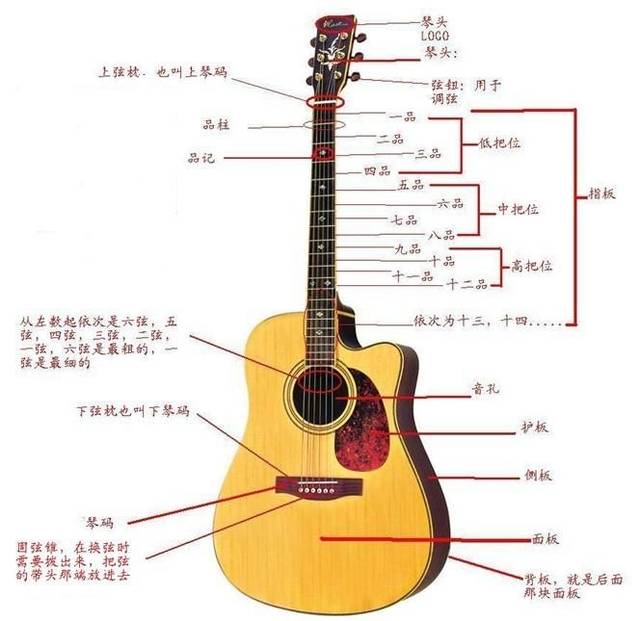 吉他分类及吉他结构介绍