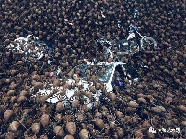 著名艺术家|陈志光—作品展览,比人高的万只巨型蚂蚁你见过吗?