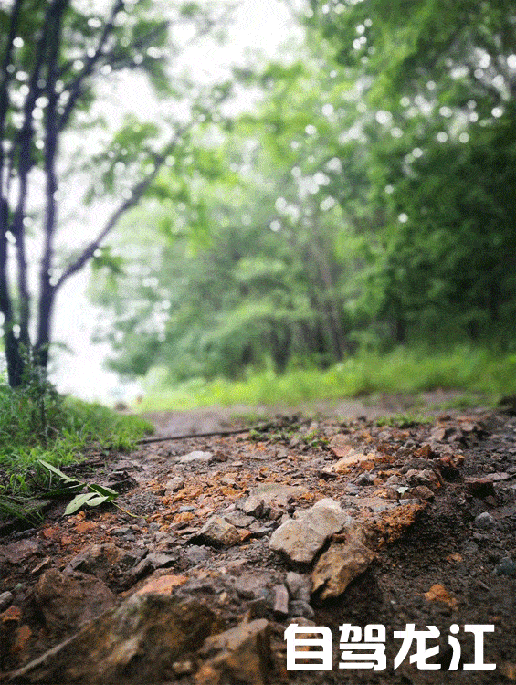 565_750 竖版 竖屏