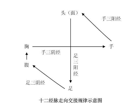 三焦经的拍打方向你搞明白了,那么其他经络的方向也是同样的道理.