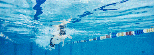 游泳跆拳道  武术 篮球 触式橄榄球 足球乒乓球 羽毛球 中国象棋