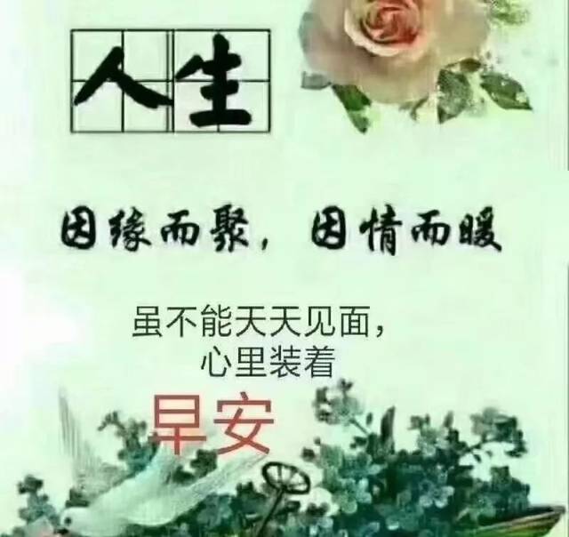 最美早上好动态图片表情带字和鲜花,早安问候语配动态