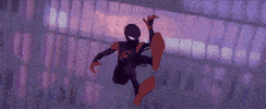 潘妮·帕克 peni parker,格温·斯黛西 gwen stacy,蜘猪侠 spider-ham