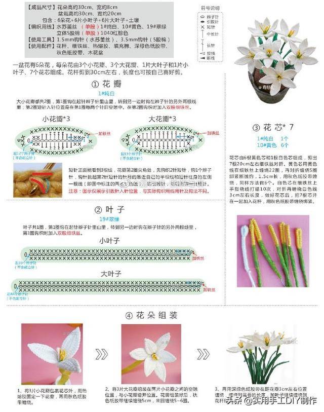 「钩编图解」风雨兰,小雏菊,向日葵,纯色荷花和红玫瑰