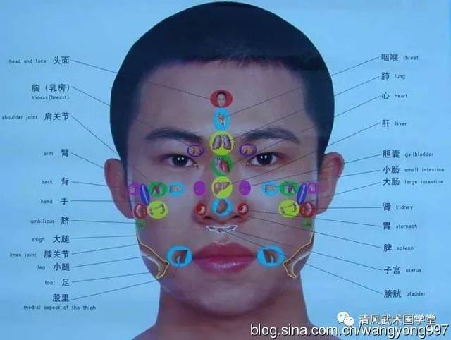 五官(五窍)(外五行) 面相诊病