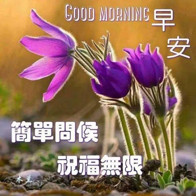 早上好短信祝福语最新版,2019最美早上好问候语祝福表情图片大全