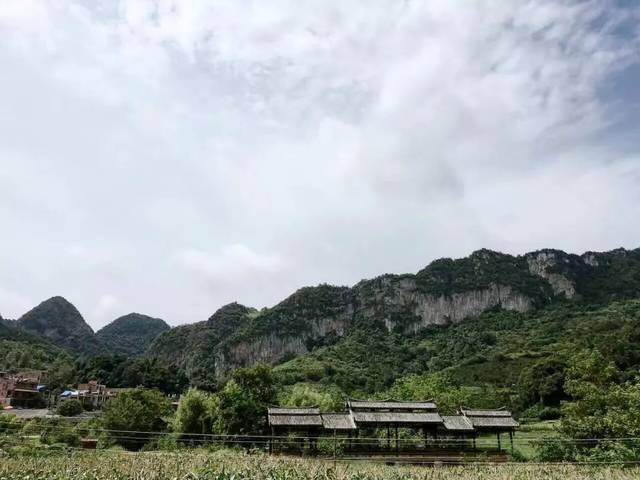 泡茶的水，到底能有多贵？贫穷限制了想象力！