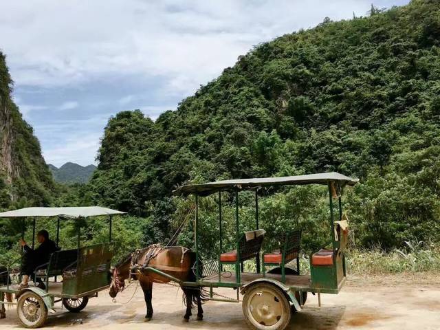 泡茶的水，到底能有多贵？贫穷限制了想象力！