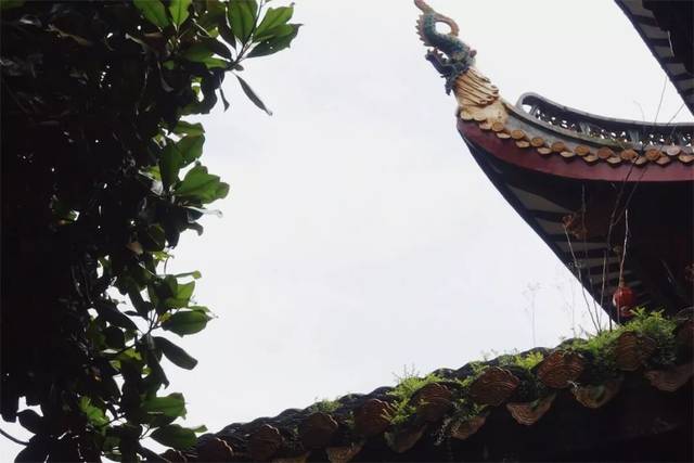 泡茶的水，到底能有多贵？贫穷限制了想象力！