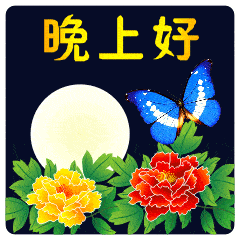 晚上好表情包问候语 问候群里晚上好句子