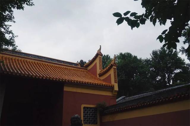 泡茶的水，到底能有多贵？贫穷限制了想象力！