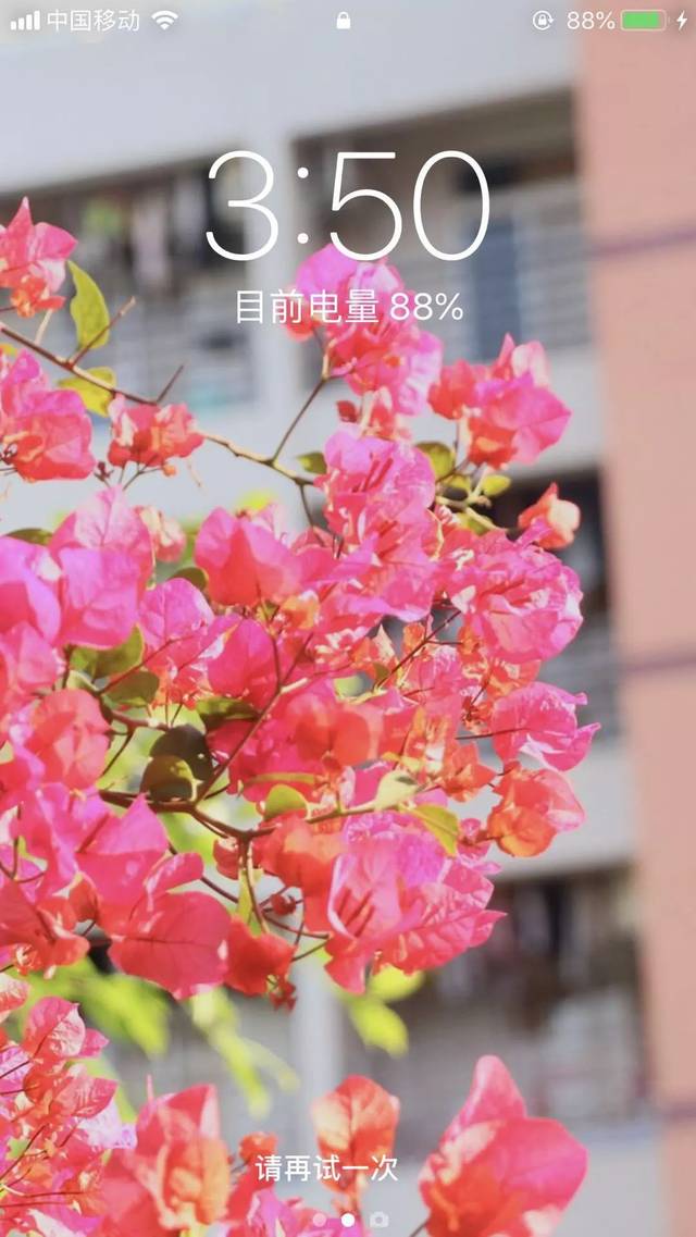 北理珠"网红"壁纸上线,定格最美时光