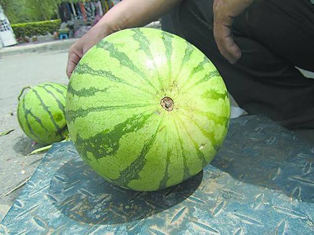 夏天不会挑西瓜怎么办?教你四招一秒挑出好西瓜!