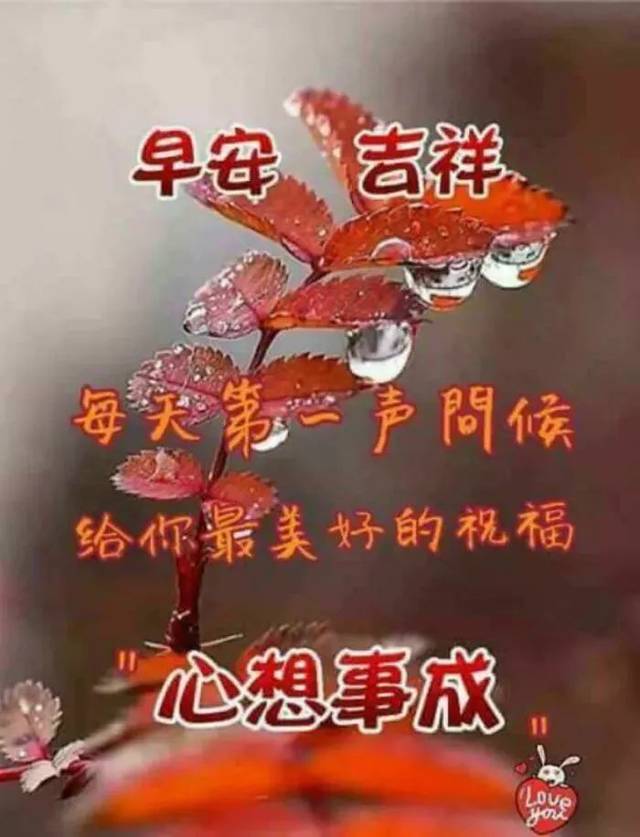 早上好短信祝福语最新版,2019最美早上好问候语祝福表情图片大全