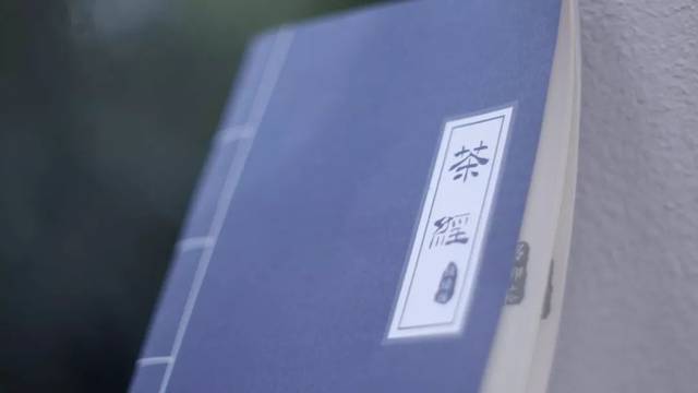 泡茶的水，到底能有多贵？贫穷限制了想象力！