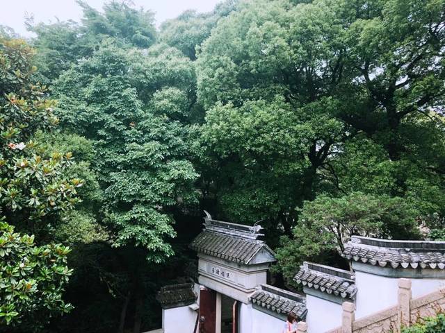 泡茶的水，到底能有多贵？贫穷限制了想象力！