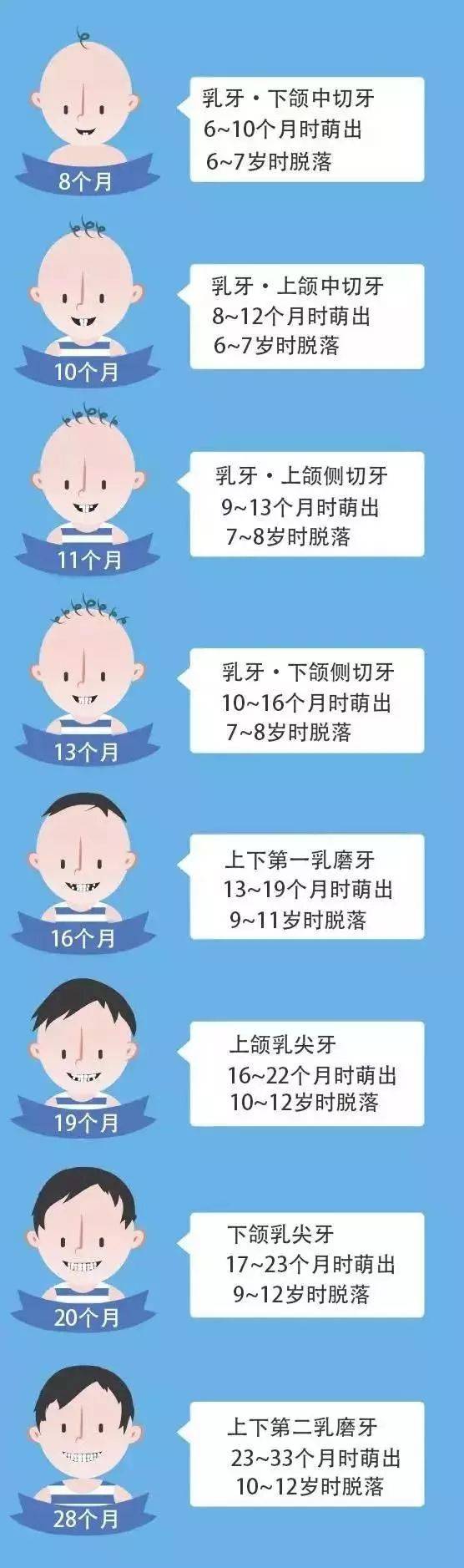 不出什么意外的话 大多数小朋友乳牙脱落的时间是这样滴