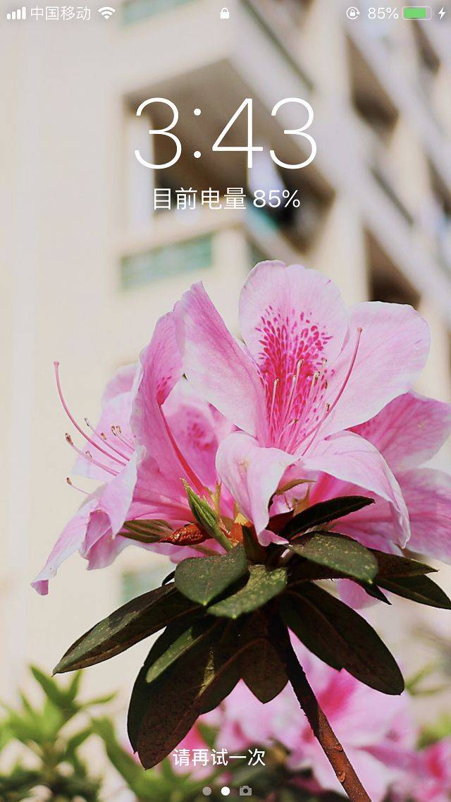 北理珠"网红"壁纸上线,定格最美时光