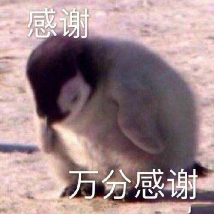 谢谢,鞠躬,thank you,感恩 图片来自网络,版权归作者使用,特此说明