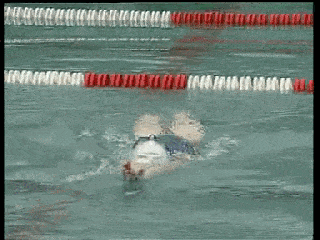 游泳技巧丨蝶泳腿的9种练习方法,超详细!