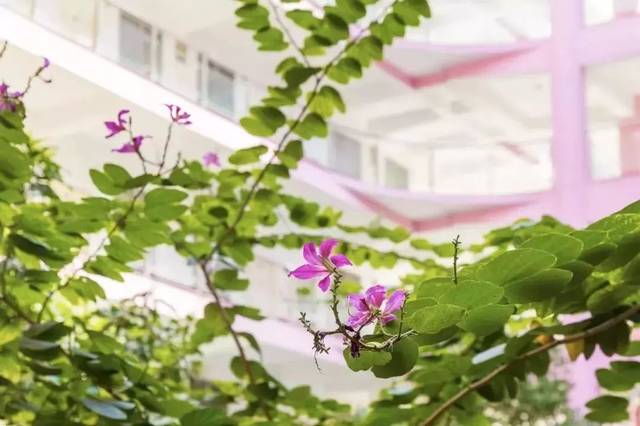 终于等到你，晋江首所本土本科大学！