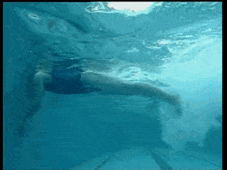 游泳技巧丨蝶泳腿的9种练习方法,超详细!