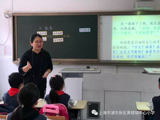 王婷老师执教语文课《独果》