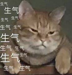 今年厦门的蚊子来得又多又早？市疾控中心专家这么说……