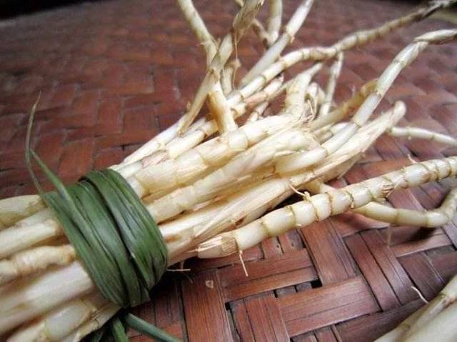 白茅根