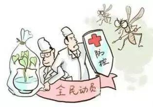 今年厦门的蚊子来得又多又早？市疾控中心专家这么说……