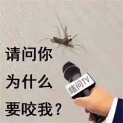 今年厦门的蚊子来得又多又早？市疾控中心专家这么说……