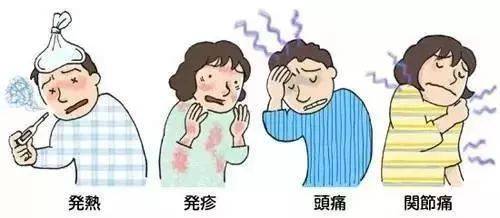 今年厦门的蚊子来得又多又早？市疾控中心专家这么说……