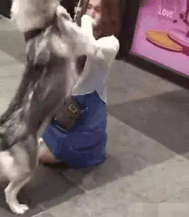 哈士奇跟美女打闹,被美女打屁屁,网友:我的重点