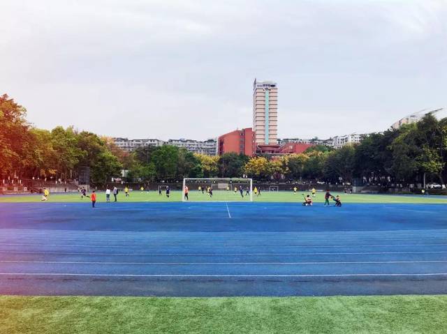 在合川大学城这几年,我胖了10斤!