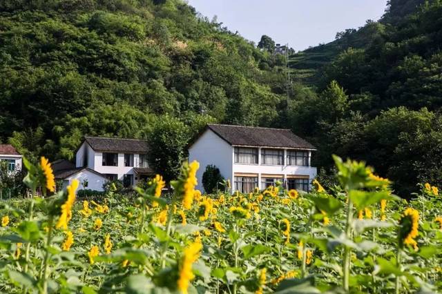 如果新昌天姥山居会说话,那他们朋友圈会是这样的