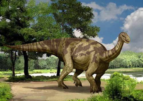 【恐龙大明星】巨大素食恐龙的祖先--禄丰龙