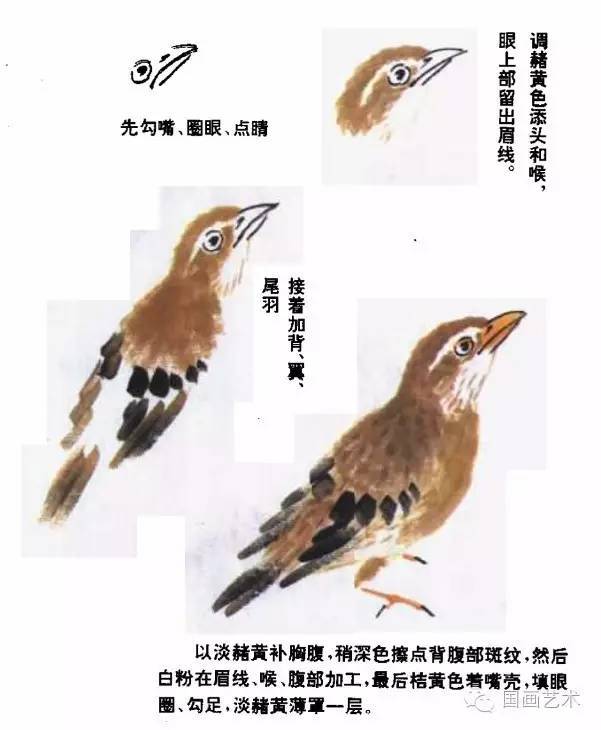 十八种常见鸟的写意画法,拿走不谢!