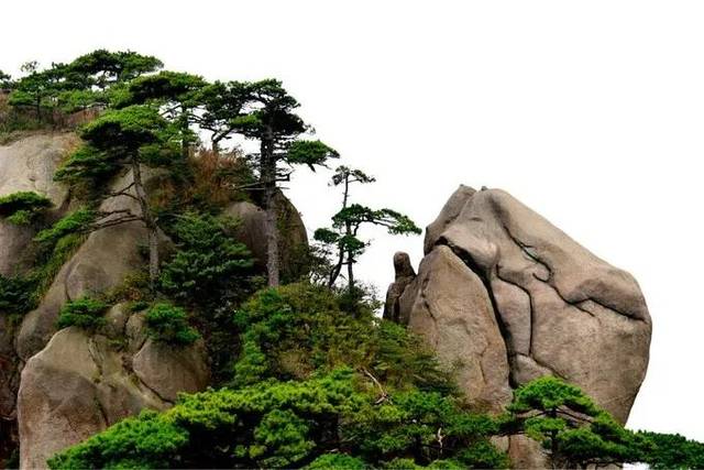 10)三洞口景区:山峰穿入幽谷,深入腹地探索三清山的另一面.