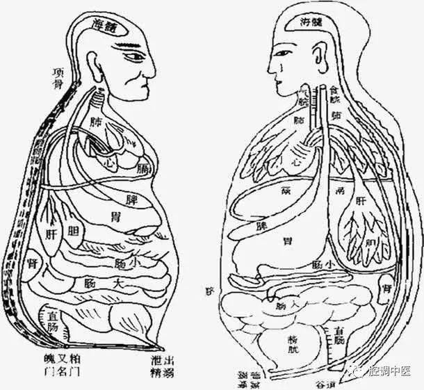 (三)营卫之行(二)以胃为中心的人体观(一)谷之五味1,食一,从以胃为