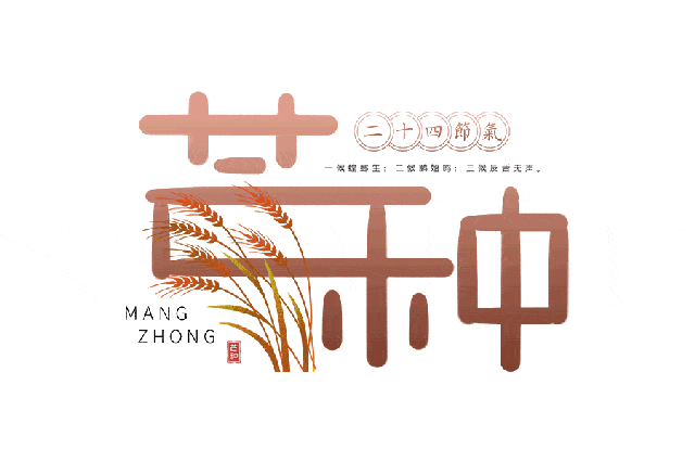 芒种悄然至,人生丰收时