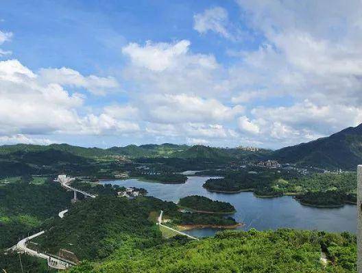 提醒丨端午假期去深圳湾,登莲花山注意客流管制哦