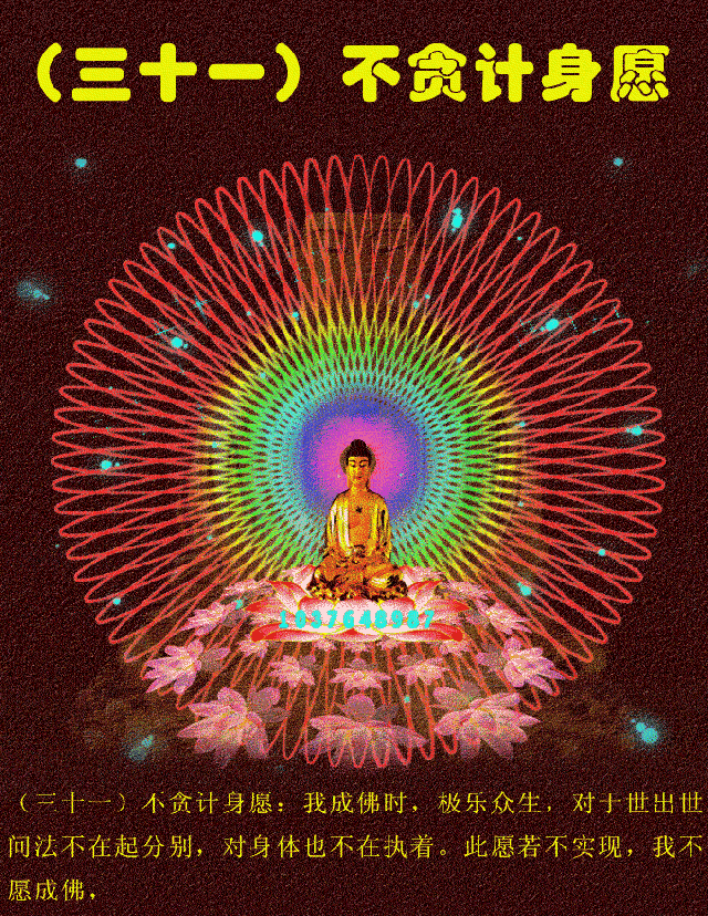 阿弥陀佛四十八大愿,愿愿度尽娑婆众生苦!