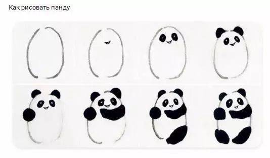 如何画熊猫?