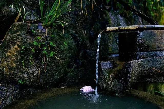 《人间词话》读后感