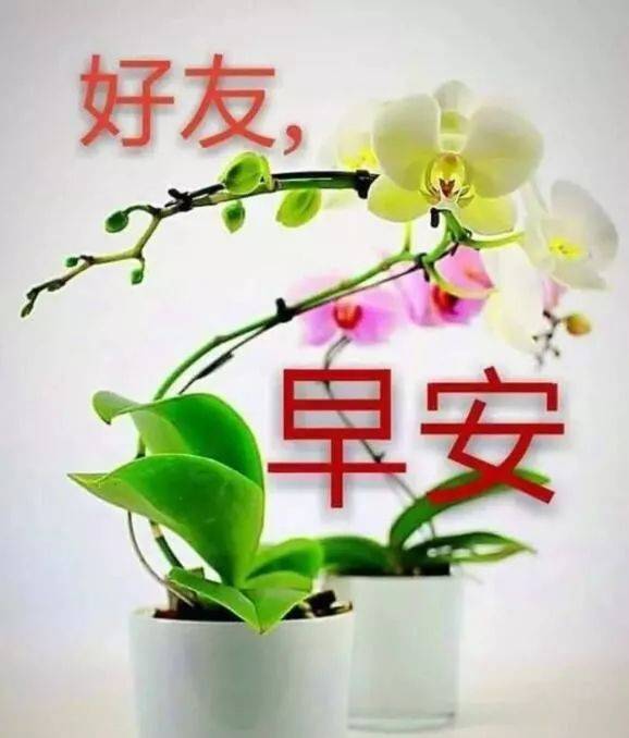 周末特别漂亮的早上好祝福表情问候图片带字,最新漂亮