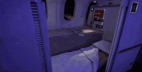 480_246gif 动态图 动图