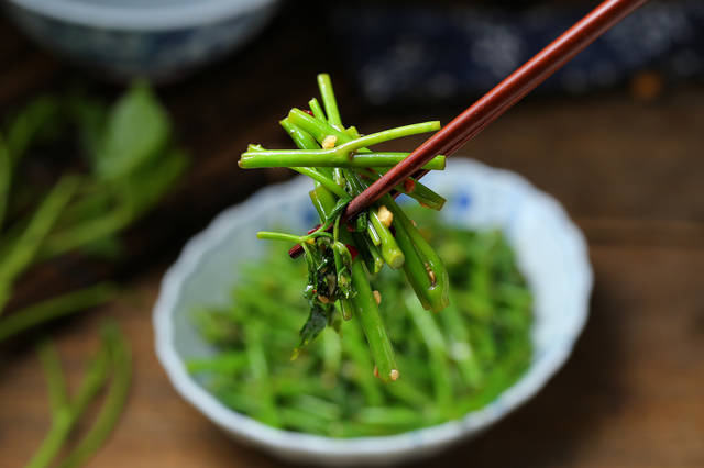 五月才能吃到的山野菜,简单拌一拌,美味又营养,可很多